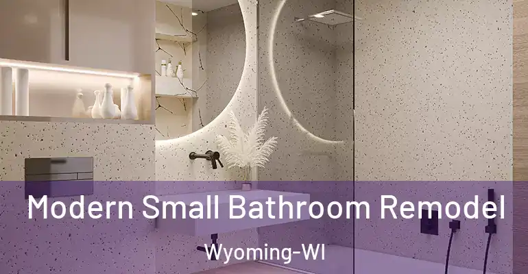 inner Bathroom imggen Modern Small Bathroom Remodel Wyoming-WI