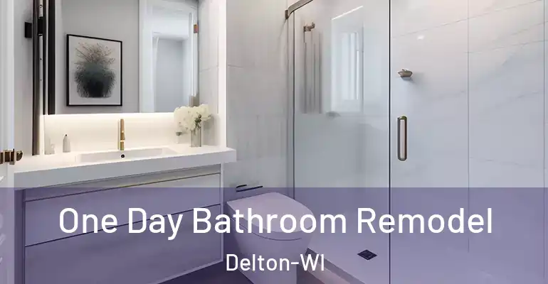 inner Bathroom imggen One Day Bathroom Remodel Delton-WI