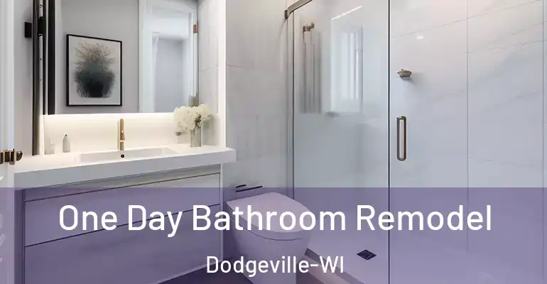 inner Bathroom imggen One Day Bathroom Remodel Dodgeville-WI