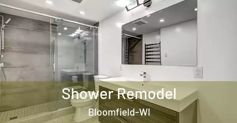 inner Bathroom imggen Shower Remodel Bloomfield-WI
