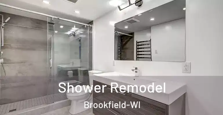 inner Bathroom imggen Shower Remodel Brookfield-WI