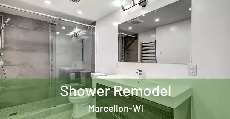 inner Bathroom imggen Shower Remodel Marcellon-WI