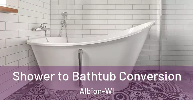 inner Bathroom imggen Shower to Bathtub Conversion Albion-WI