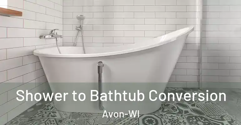 inner Bathroom imggen Shower to Bathtub Conversion Avon-WI