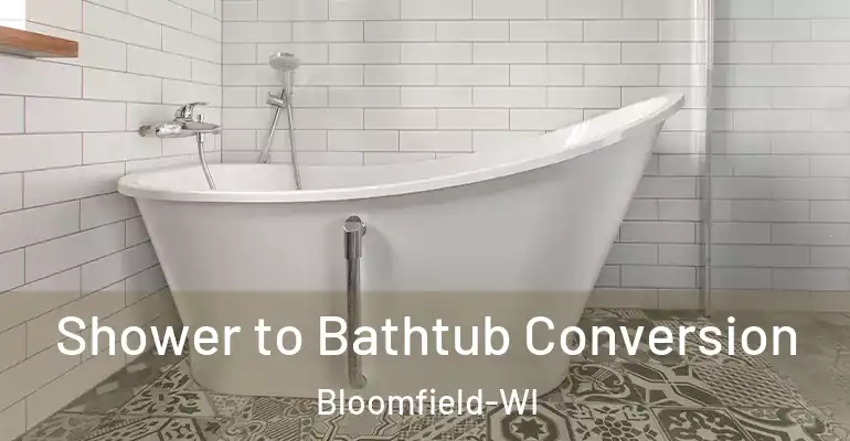 inner Bathroom imggen Shower to Bathtub Conversion Bloomfield-WI
