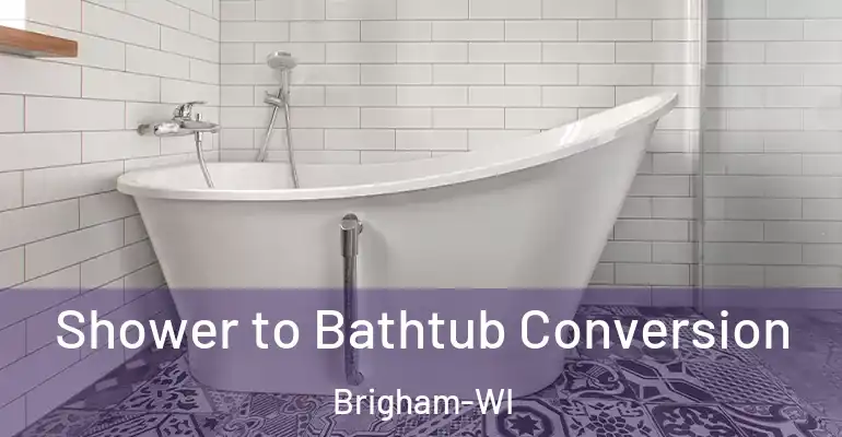 inner Bathroom imggen Shower to Bathtub Conversion Brigham-WI