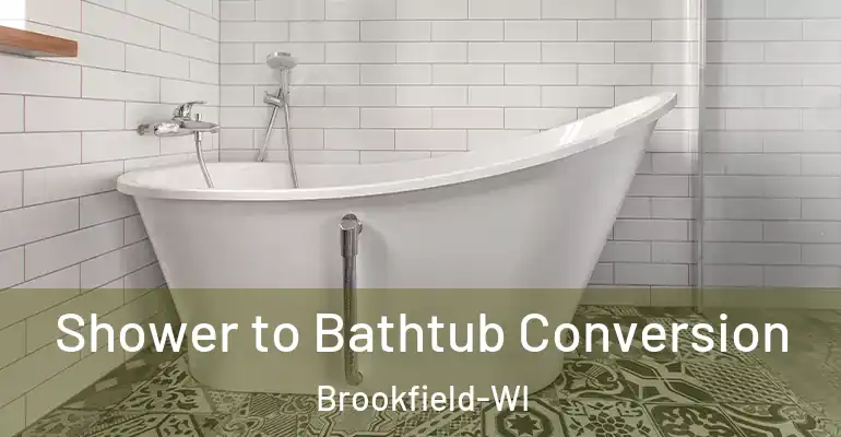 inner Bathroom imggen Shower to Bathtub Conversion Brookfield-WI