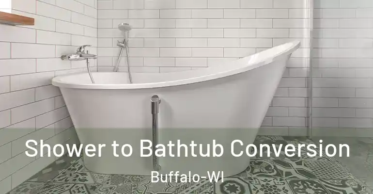 inner Bathroom imggen Shower to Bathtub Conversion Buffalo-WI