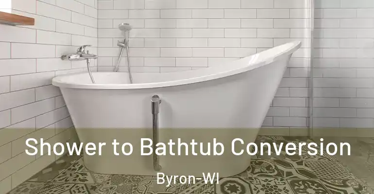 inner Bathroom imggen Shower to Bathtub Conversion Byron-WI