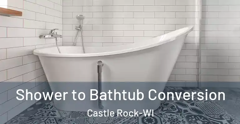 inner Bathroom imggen Shower to Bathtub Conversion Castle Rock-WI