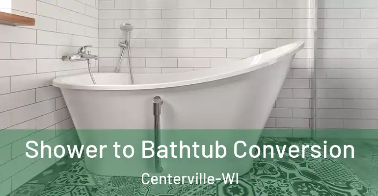 inner Bathroom imggen Shower to Bathtub Conversion Centerville-WI