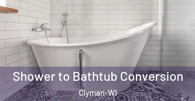 inner Bathroom imggen Shower to Bathtub Conversion Clyman-WI