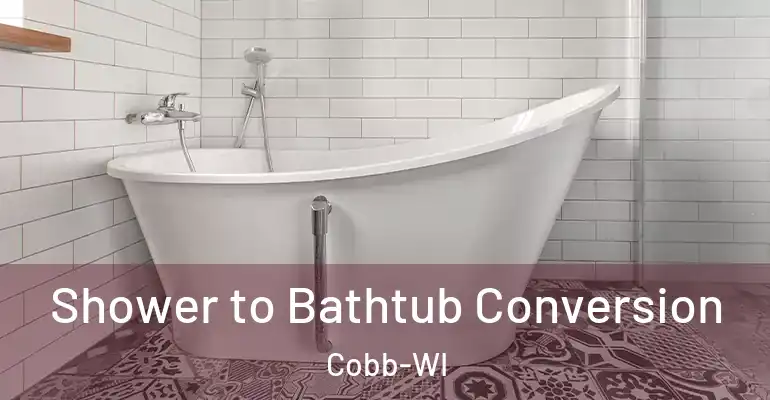 inner Bathroom imggen Shower to Bathtub Conversion Cobb-WI