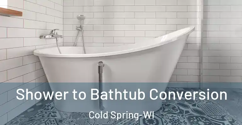 inner Bathroom imggen Shower to Bathtub Conversion Cold Spring-WI