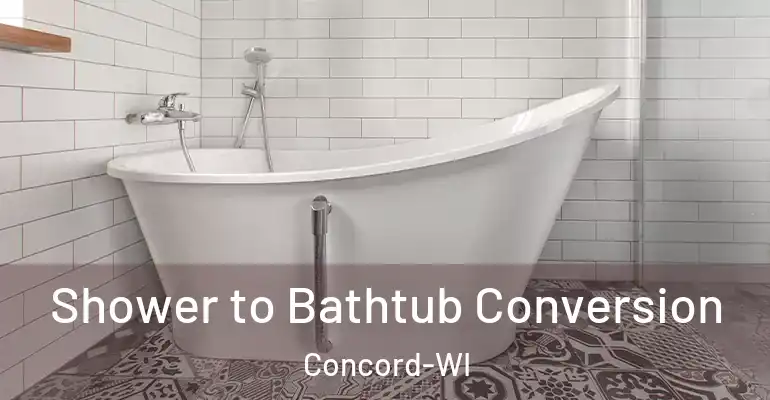 inner Bathroom imggen Shower to Bathtub Conversion Concord-WI