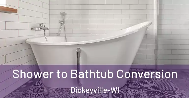 inner Bathroom imggen Shower to Bathtub Conversion Dickeyville-WI
