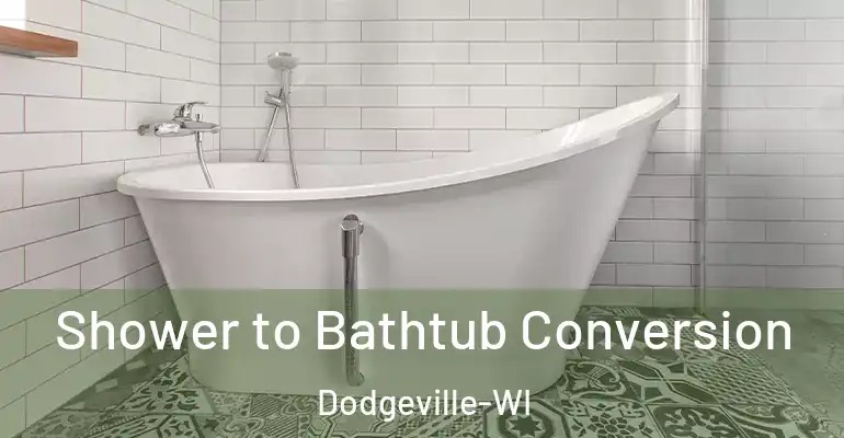 inner Bathroom imggen Shower to Bathtub Conversion Dodgeville-WI