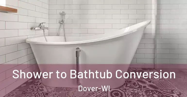 inner Bathroom imggen Shower to Bathtub Conversion Dover-WI