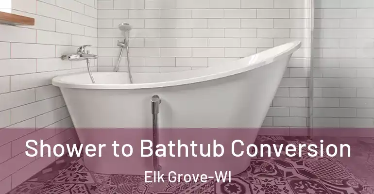 inner Bathroom imggen Shower to Bathtub Conversion Elk Grove-WI