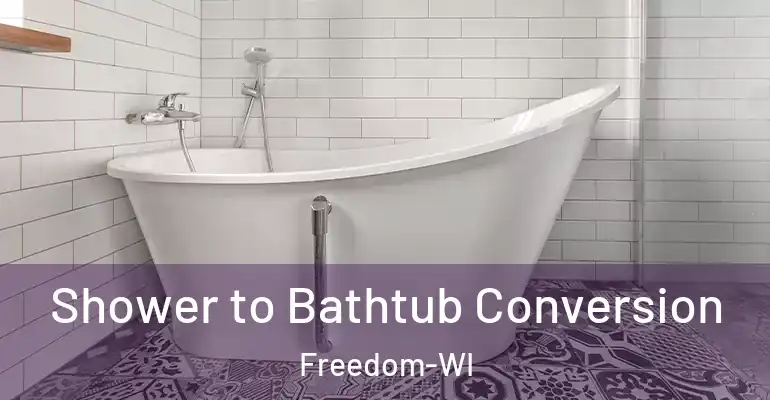 inner Bathroom imggen Shower to Bathtub Conversion Freedom-WI