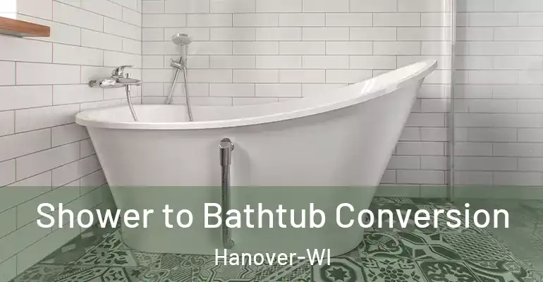inner Bathroom imggen Shower to Bathtub Conversion Hanover-WI