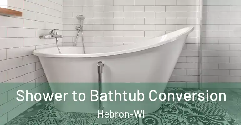 inner Bathroom imggen Shower to Bathtub Conversion Hebron-WI