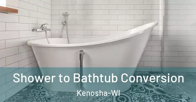 inner Bathroom imggen Shower to Bathtub Conversion Kenosha-WI