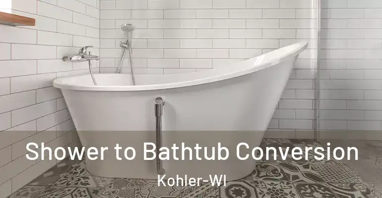 inner Bathroom imggen Shower to Bathtub Conversion Kohler-WI