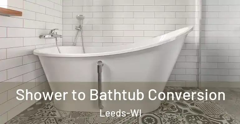 inner Bathroom imggen Shower to Bathtub Conversion Leeds-WI