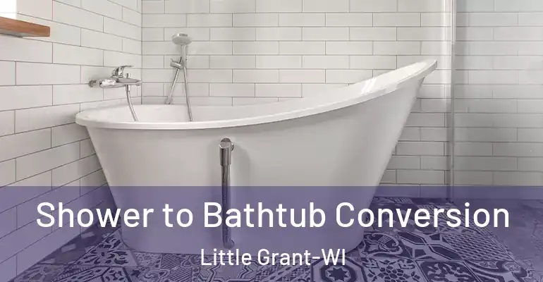 inner Bathroom imggen Shower to Bathtub Conversion Little Grant-WI