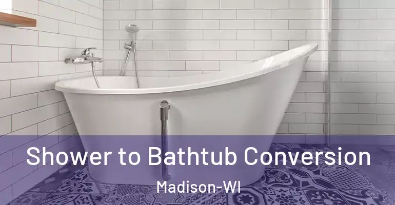 inner Bathroom imggen Shower to Bathtub Conversion Madison-WI