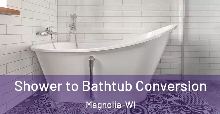 inner Bathroom imggen Shower to Bathtub Conversion Magnolia-WI