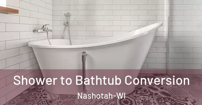 inner Bathroom imggen Shower to Bathtub Conversion Nashotah-WI