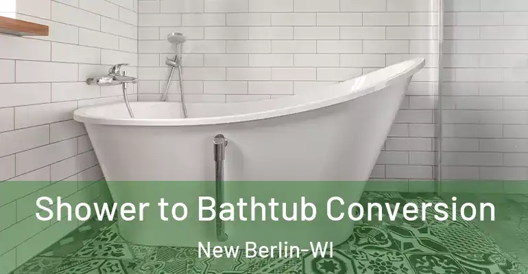 inner Bathroom imggen Shower to Bathtub Conversion New Berlin-WI