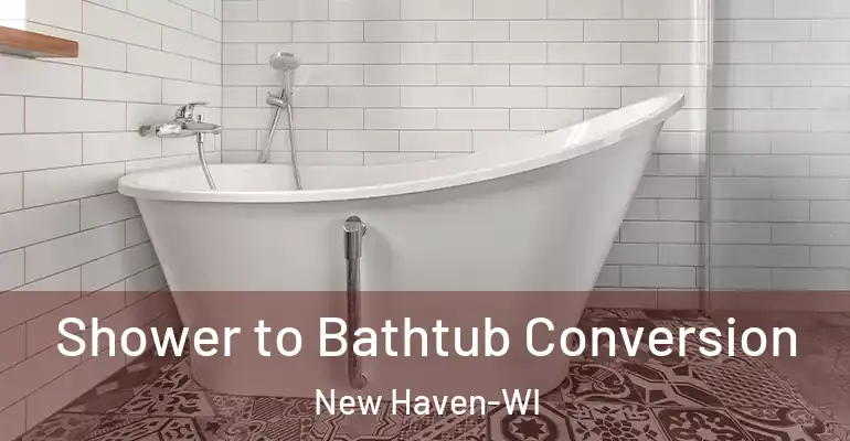 inner Bathroom imggen Shower to Bathtub Conversion New Haven-WI