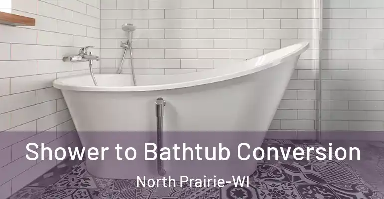 inner Bathroom imggen Shower to Bathtub Conversion North Prairie-WI
