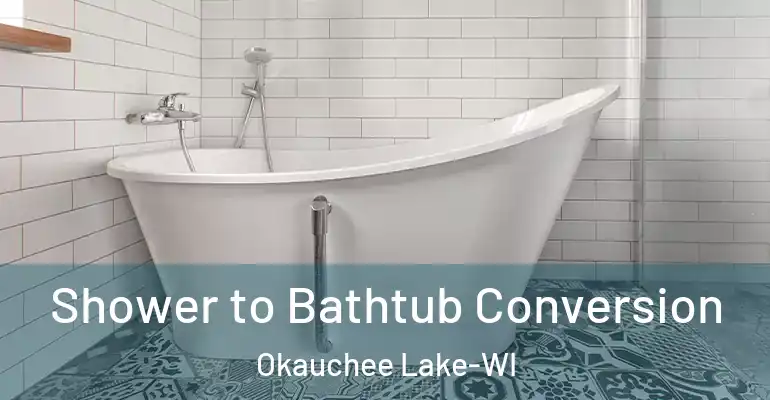 inner Bathroom imggen Shower to Bathtub Conversion Okauchee Lake-WI