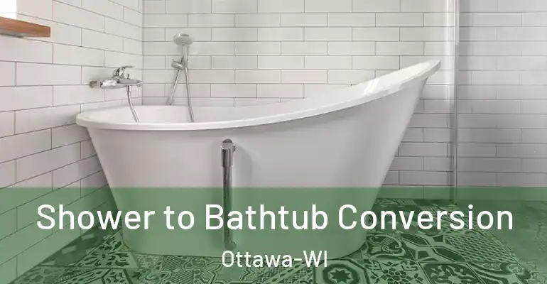 inner Bathroom imggen Shower to Bathtub Conversion Ottawa-WI