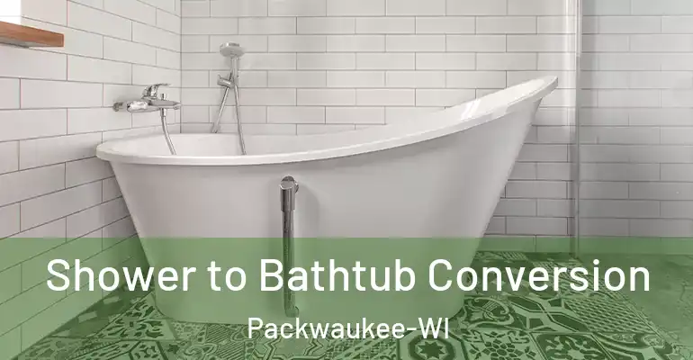 inner Bathroom imggen Shower to Bathtub Conversion Packwaukee-WI
