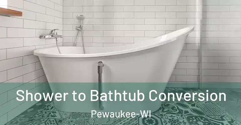 inner Bathroom imggen Shower to Bathtub Conversion Pewaukee-WI