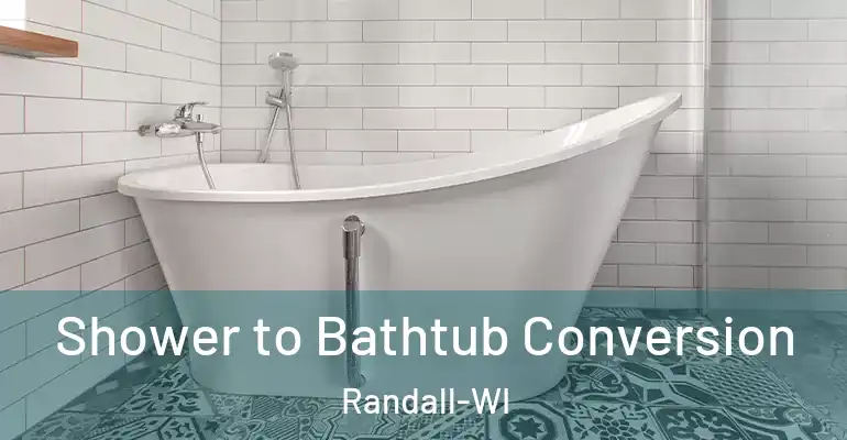inner Bathroom imggen Shower to Bathtub Conversion Randall-WI