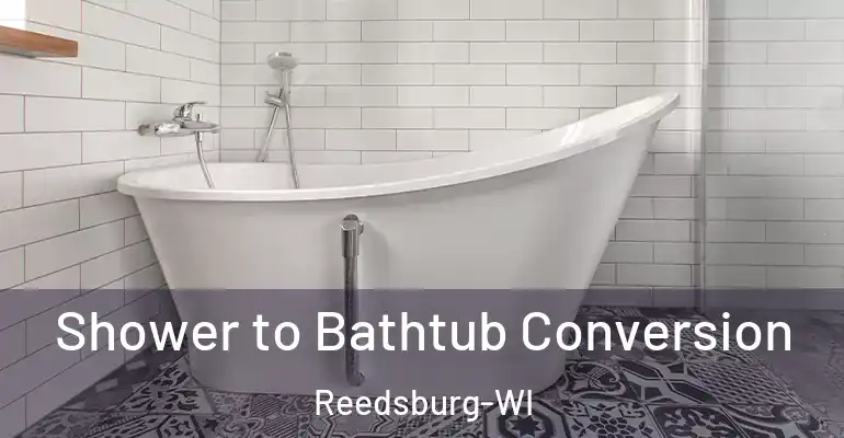 inner Bathroom imggen Shower to Bathtub Conversion Reedsburg-WI