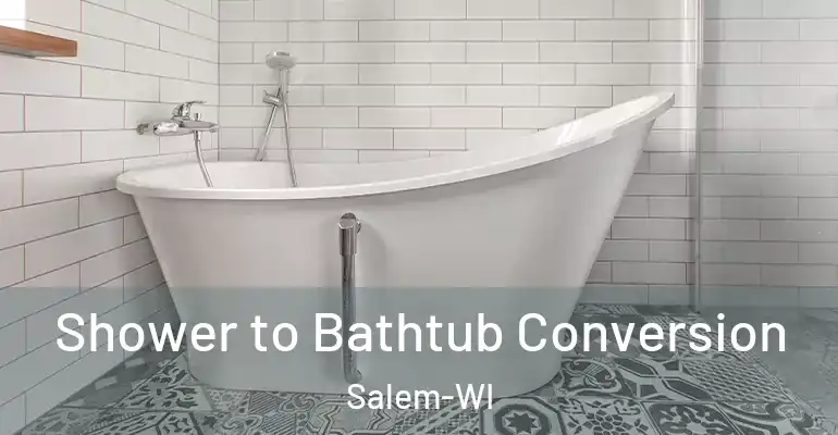 inner Bathroom imggen Shower to Bathtub Conversion Salem-WI