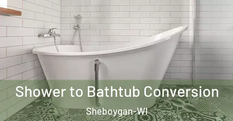 inner Bathroom imggen Shower to Bathtub Conversion Sheboygan-WI