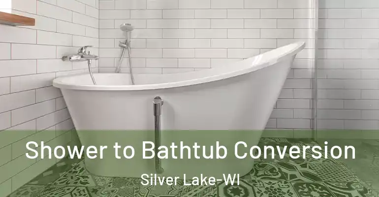 inner Bathroom imggen Shower to Bathtub Conversion Silver Lake-WI