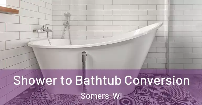 inner Bathroom imggen Shower to Bathtub Conversion Somers-WI