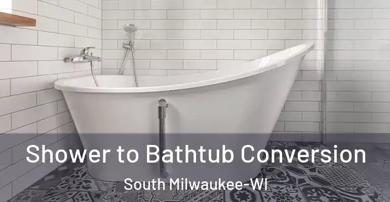 inner Bathroom imggen Shower to Bathtub Conversion South Milwaukee-WI