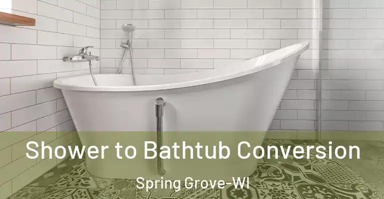 inner Bathroom imggen Shower to Bathtub Conversion Spring Grove-WI