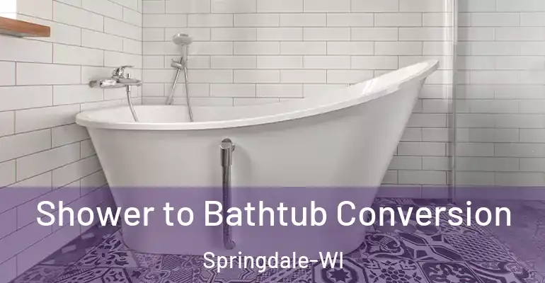 inner Bathroom imggen Shower to Bathtub Conversion Springdale-WI