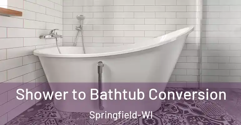 inner Bathroom imggen Shower to Bathtub Conversion Springfield-WI